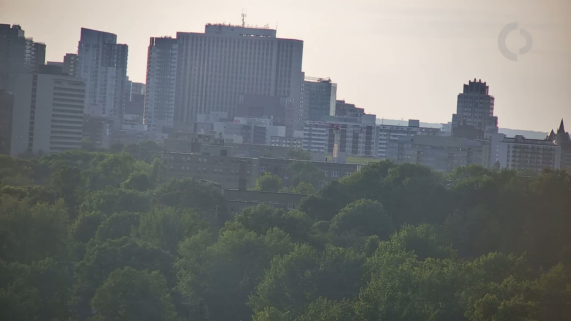 A city skyline with numerous high-rise buildings is visible beyond a lush green canopy of trees on a hazy, sunny day.