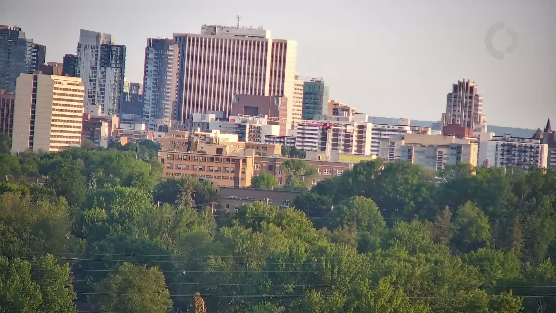 A cityscape of numerous buildings of varying heights and architectural styles, partially obscured by a lush green canopy of trees under a clear, light sky.