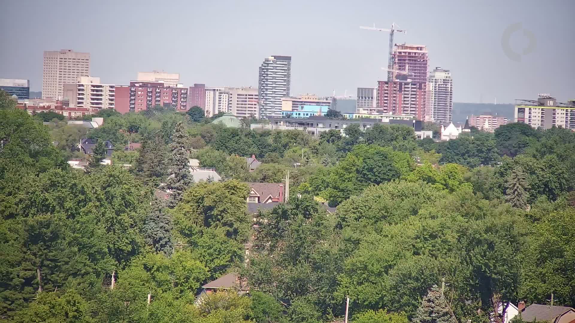 A cityscape of mid-rise and high-rise buildings is partially obscured by a dense canopy of lush green trees under a hazy sky.