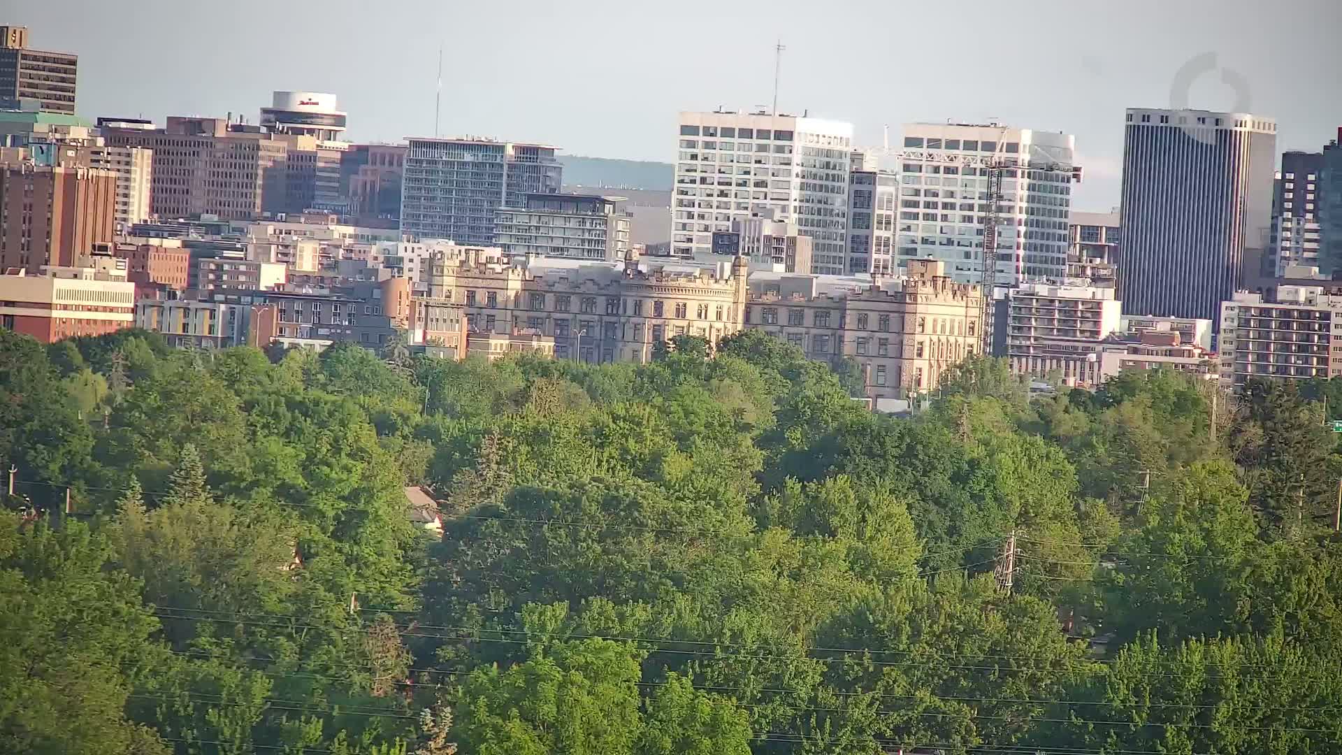 A large, castle-like building sits behind a dense line of green trees, with a cityscape of various high-rise and low-rise buildings visible in the background under a hazy sky.