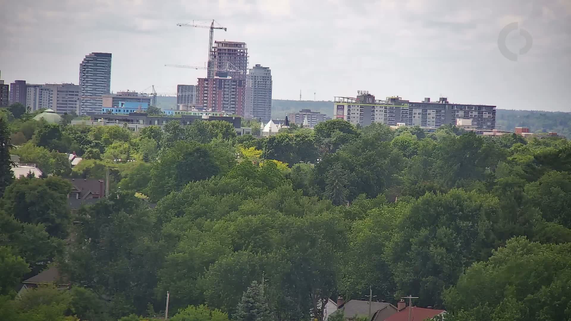 A cityscape of multi-story buildings under a cloudy sky is partially obscured by a dense forest of green trees.