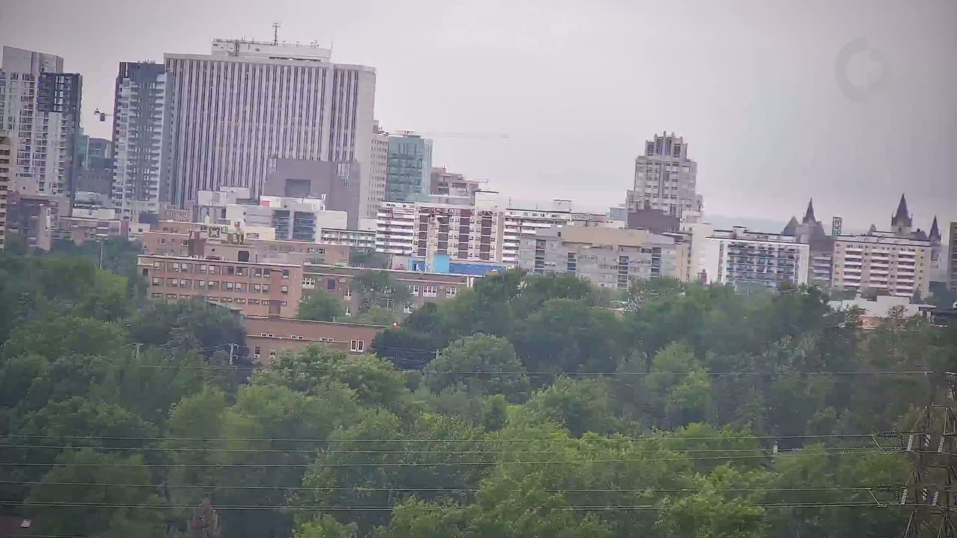 A city skyline with numerous high-rise buildings is partially obscured by a hazy, overcast sky and a dense foreground of green trees.
