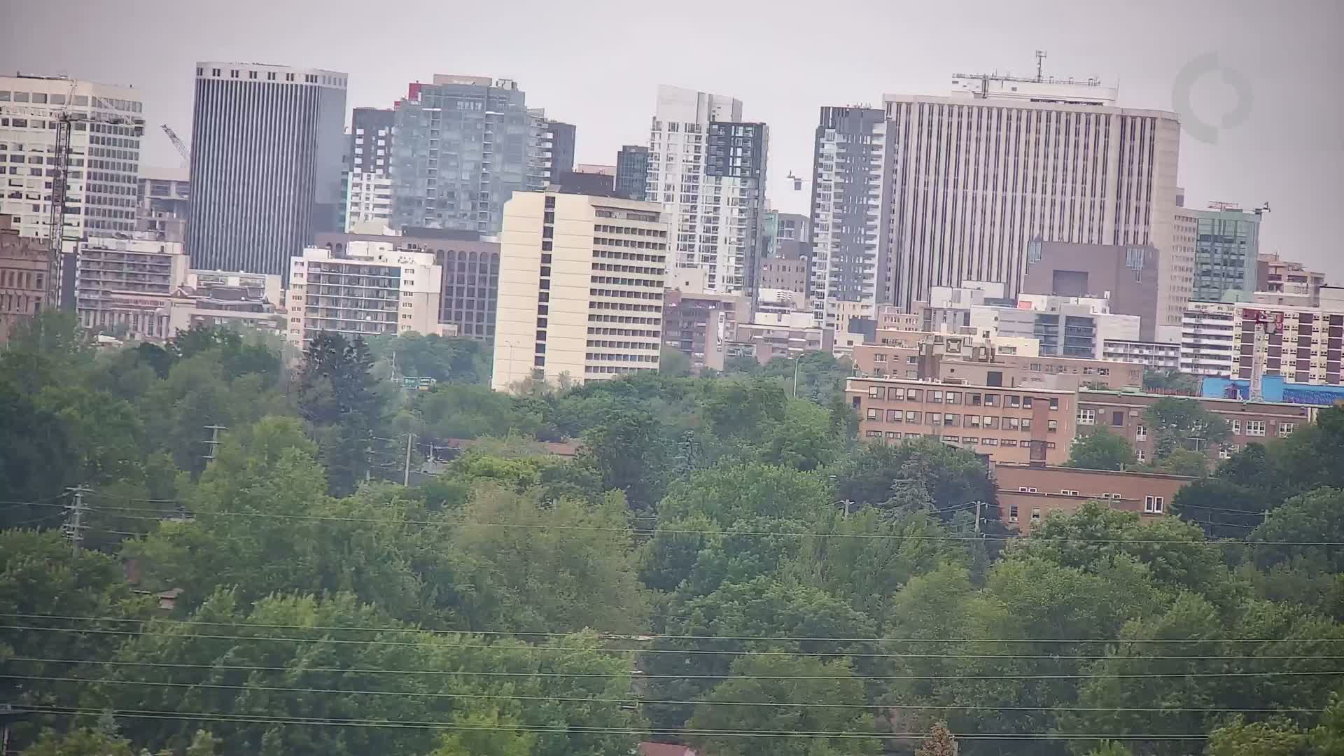 A cityscape of numerous high-rise and mid-rise buildings is partially obscured by a foreground of lush green trees on an overcast day.