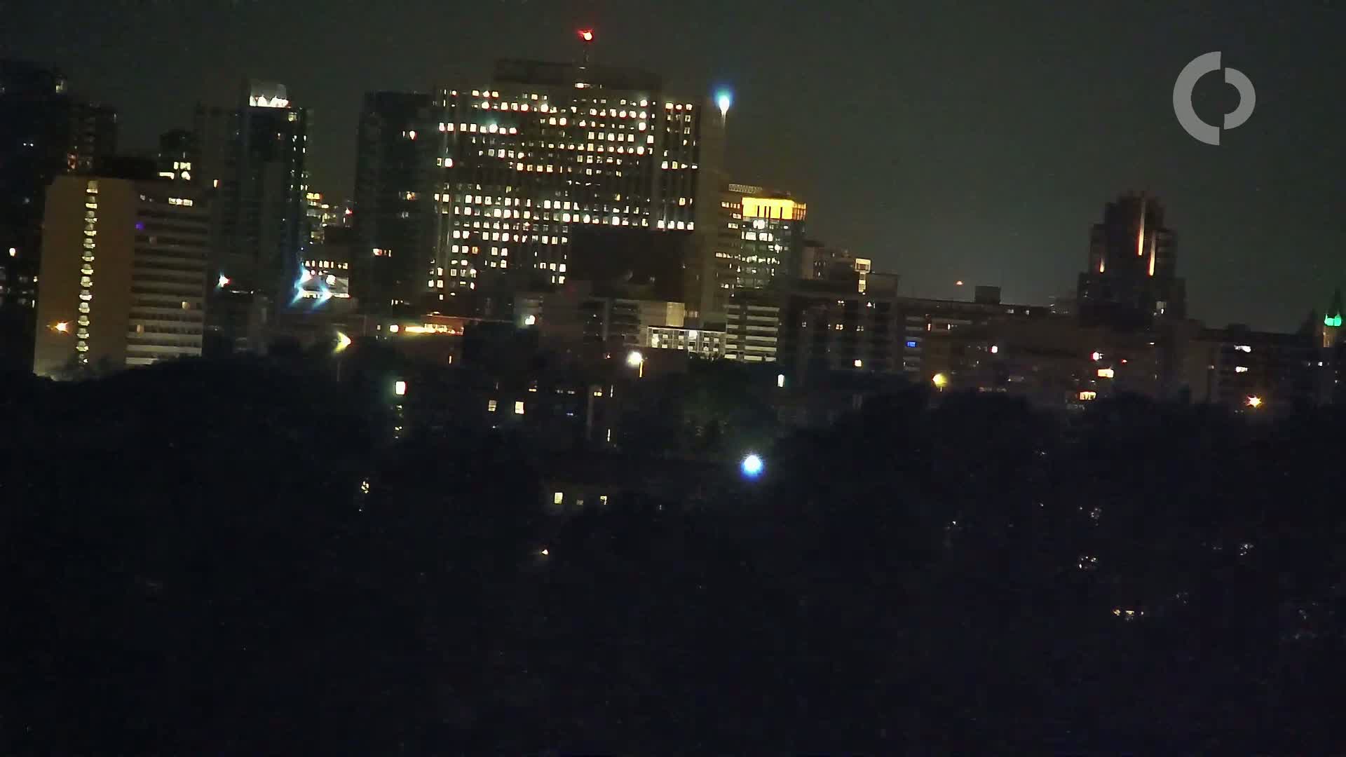 A city skyline at night, illuminated by the lights of numerous buildings, is partially obscured by a dark foreground of trees or vegetation.