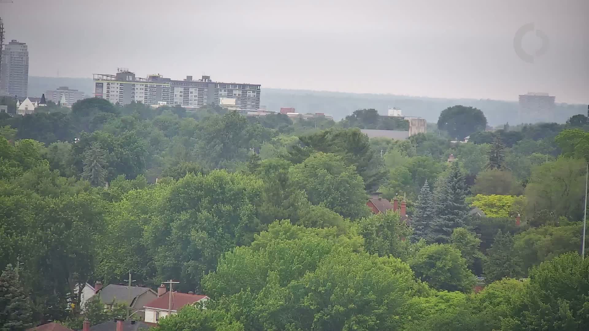 A hazy view shows a dense canopy of green trees interspersed with residential rooftops and distant apartment buildings.