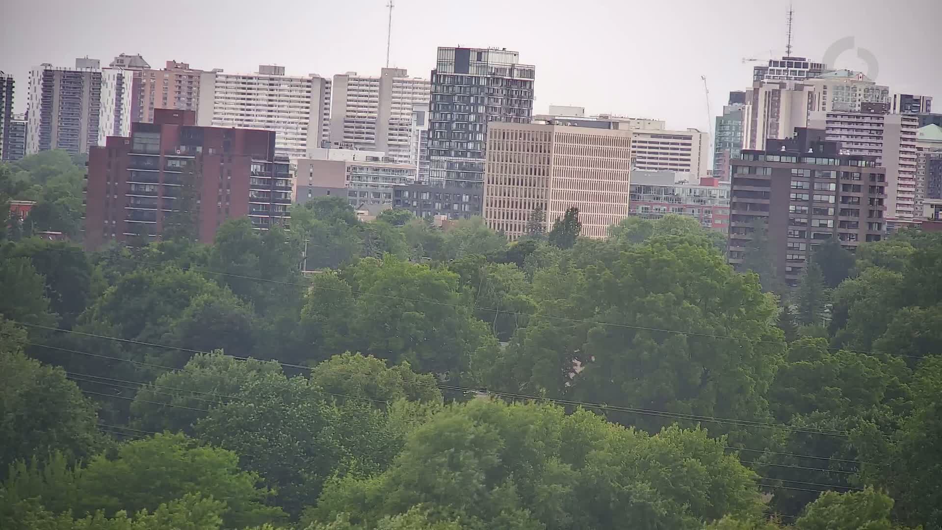 A cityscape of numerous apartment buildings is partially obscured by a dense, leafy green forest under overcast skies.