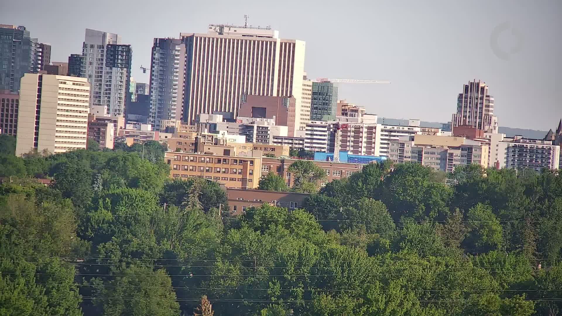 A city skyline with several high-rise buildings and mid-rise apartment buildings is partially obscured by a dense covering of green trees under a hazy sky.