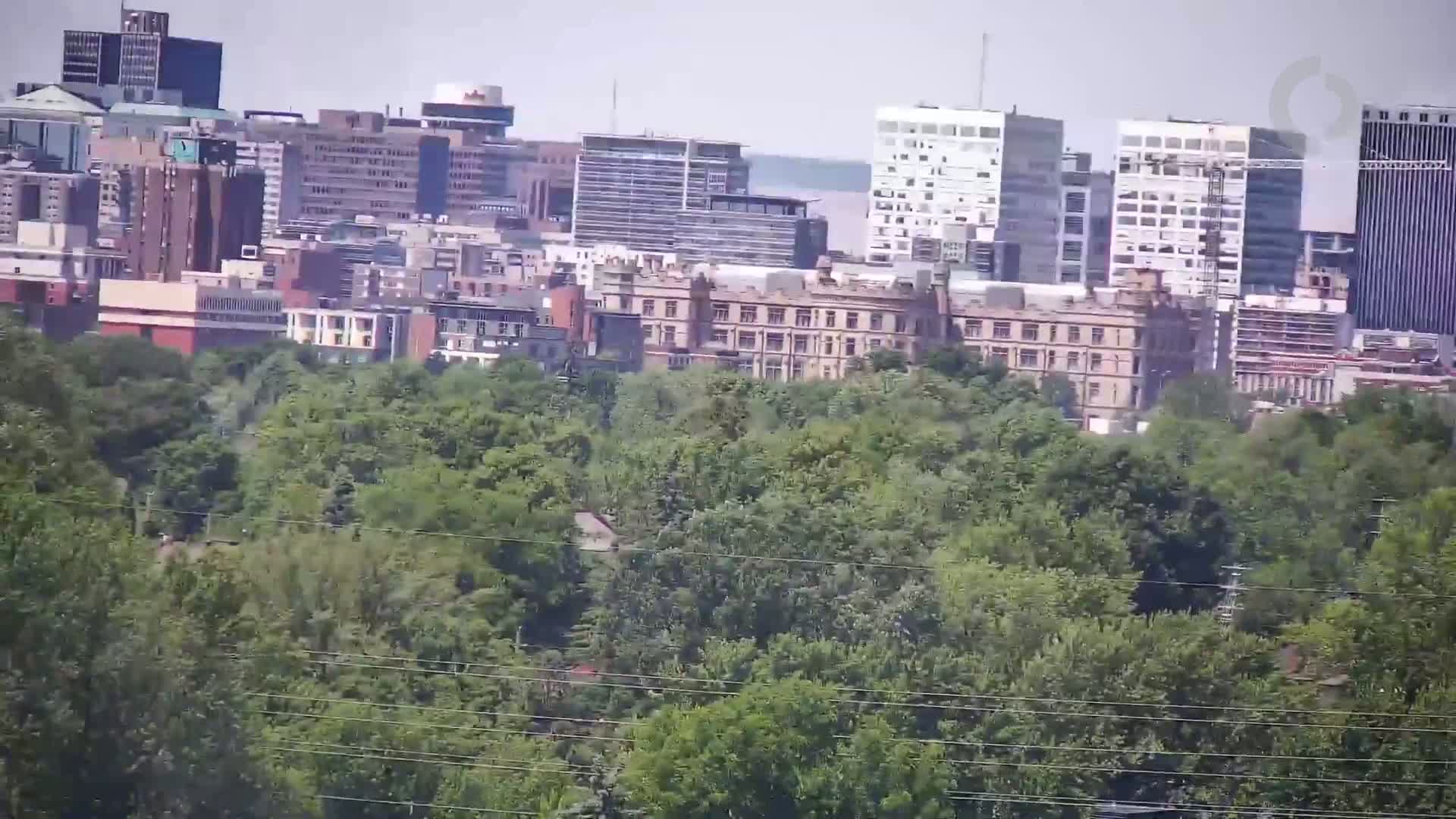 A city skyline with numerous buildings is partially obscured by a lush green canopy of trees on a hazy day.