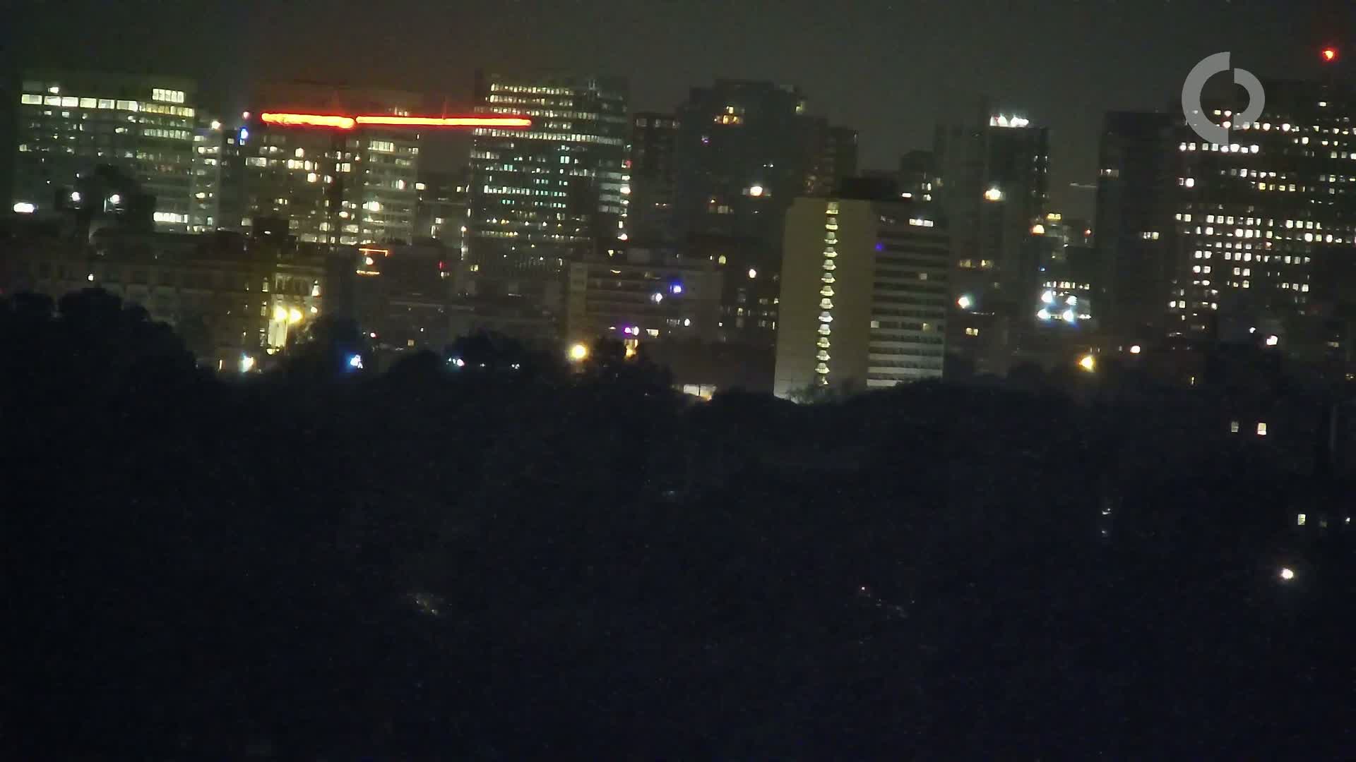 A nighttime view of a city skyline with illuminated buildings and dark trees in the foreground under a dark sky.