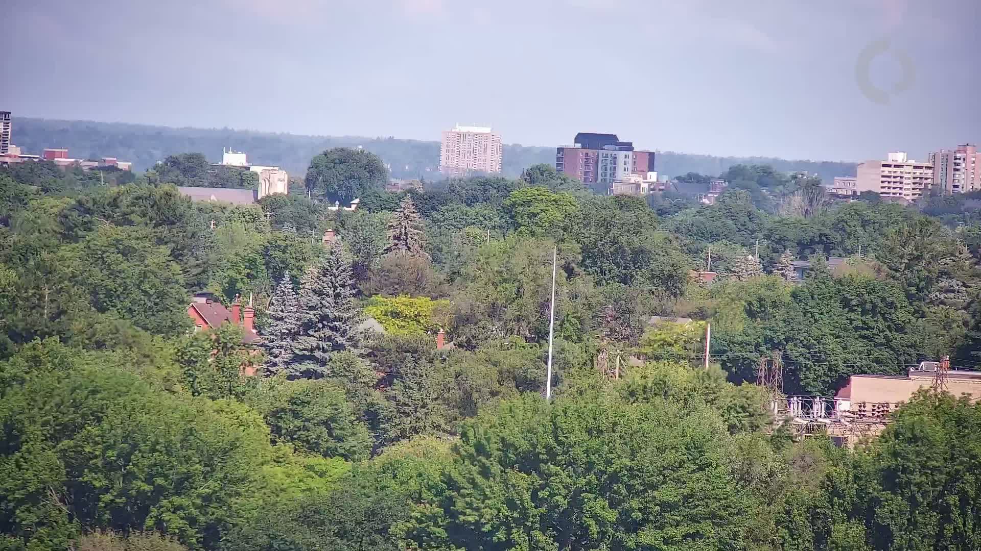 A hazy, sunny day reveals a cityscape partially obscured by a dense canopy of green trees, with several multi-story buildings visible in the distance.