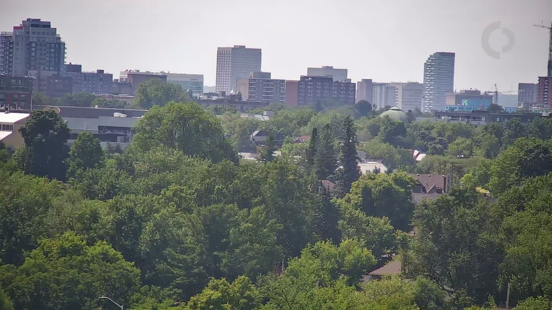 A hazy cityscape is visible in the distance beyond a dense covering of lush green trees.