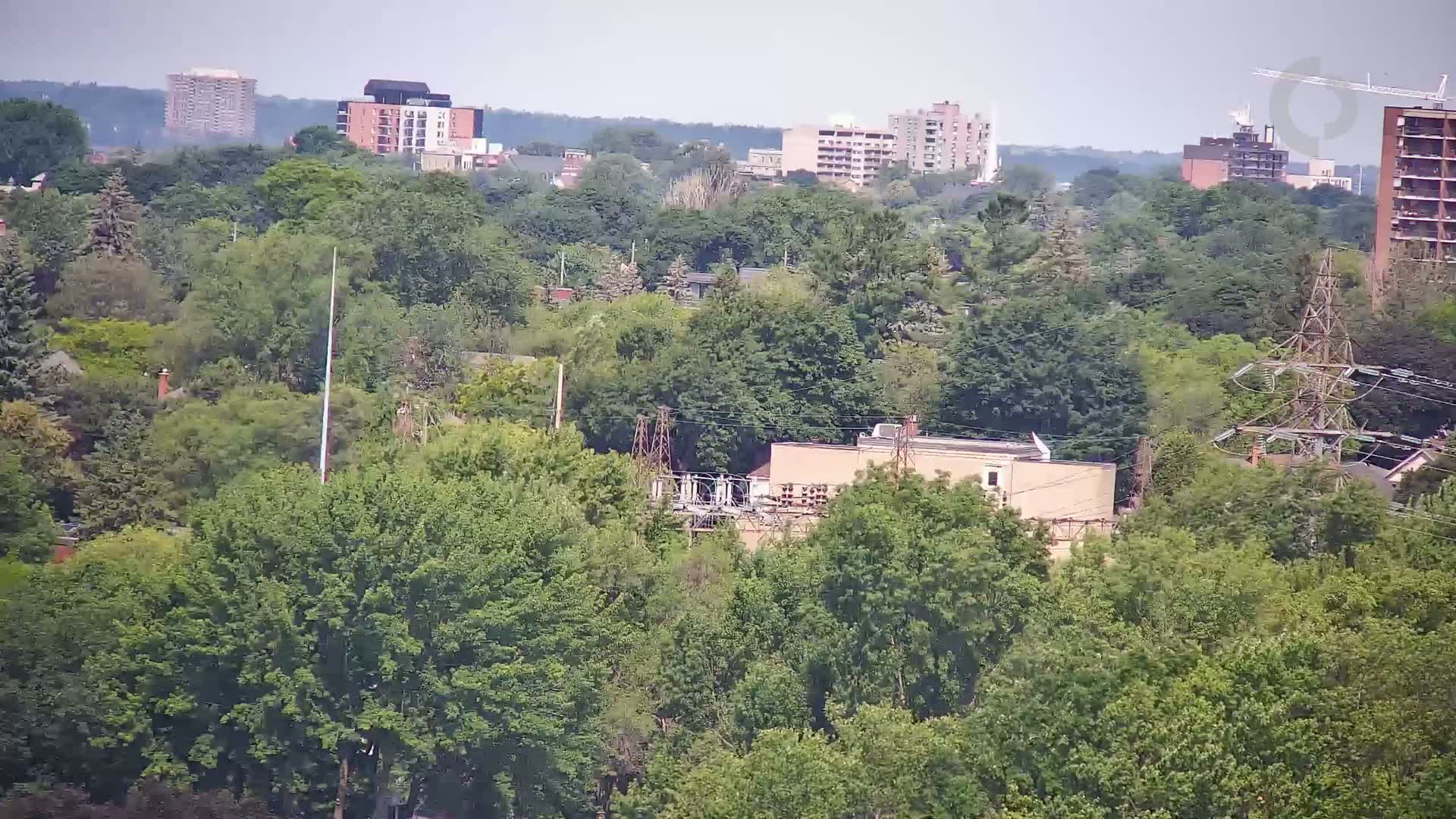 A long shot of a lush green, tree-filled area with several buildings visible in the distance on a hazy day.