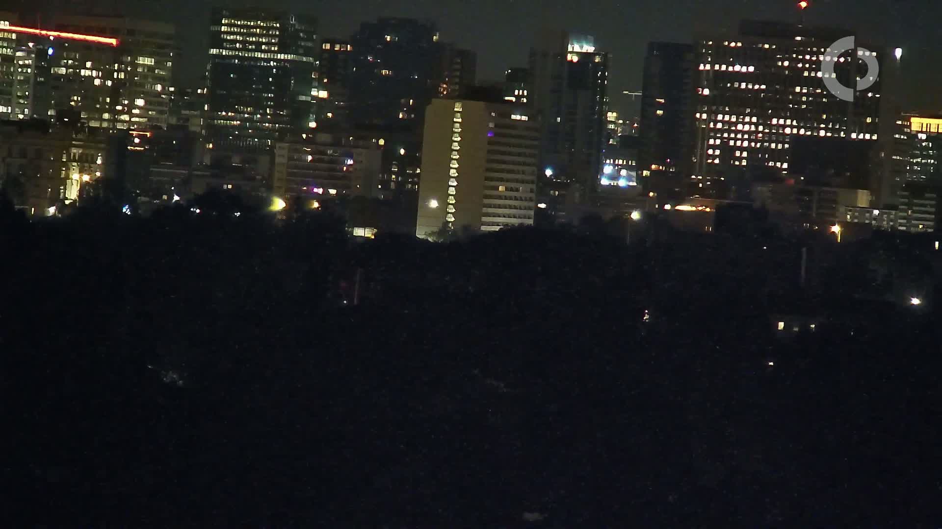 A nighttime view of a city skyline with numerous illuminated buildings, partially obscured by a dark foreground of trees or vegetation.