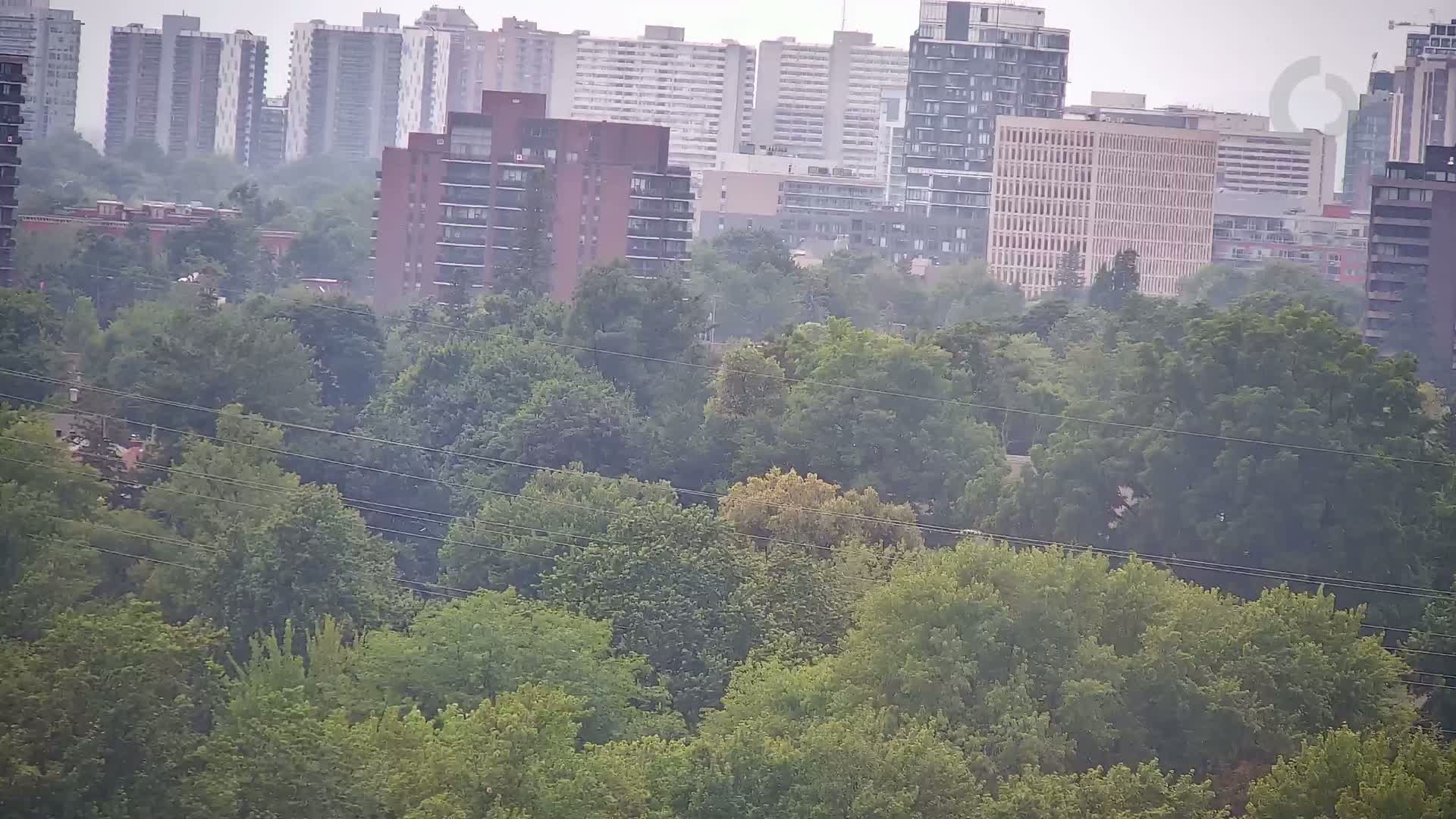 Ottawa Dowtown Skyline Live Cam - Downtown, Ottawa, Ontario, Canada