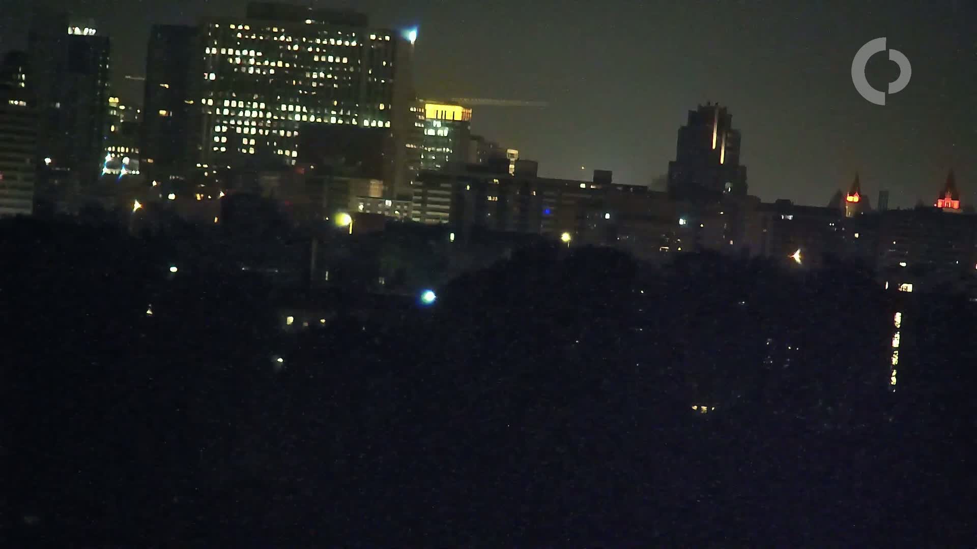 A nighttime cityscape with illuminated buildings and a dark foreground of trees or vegetation under a clear sky.