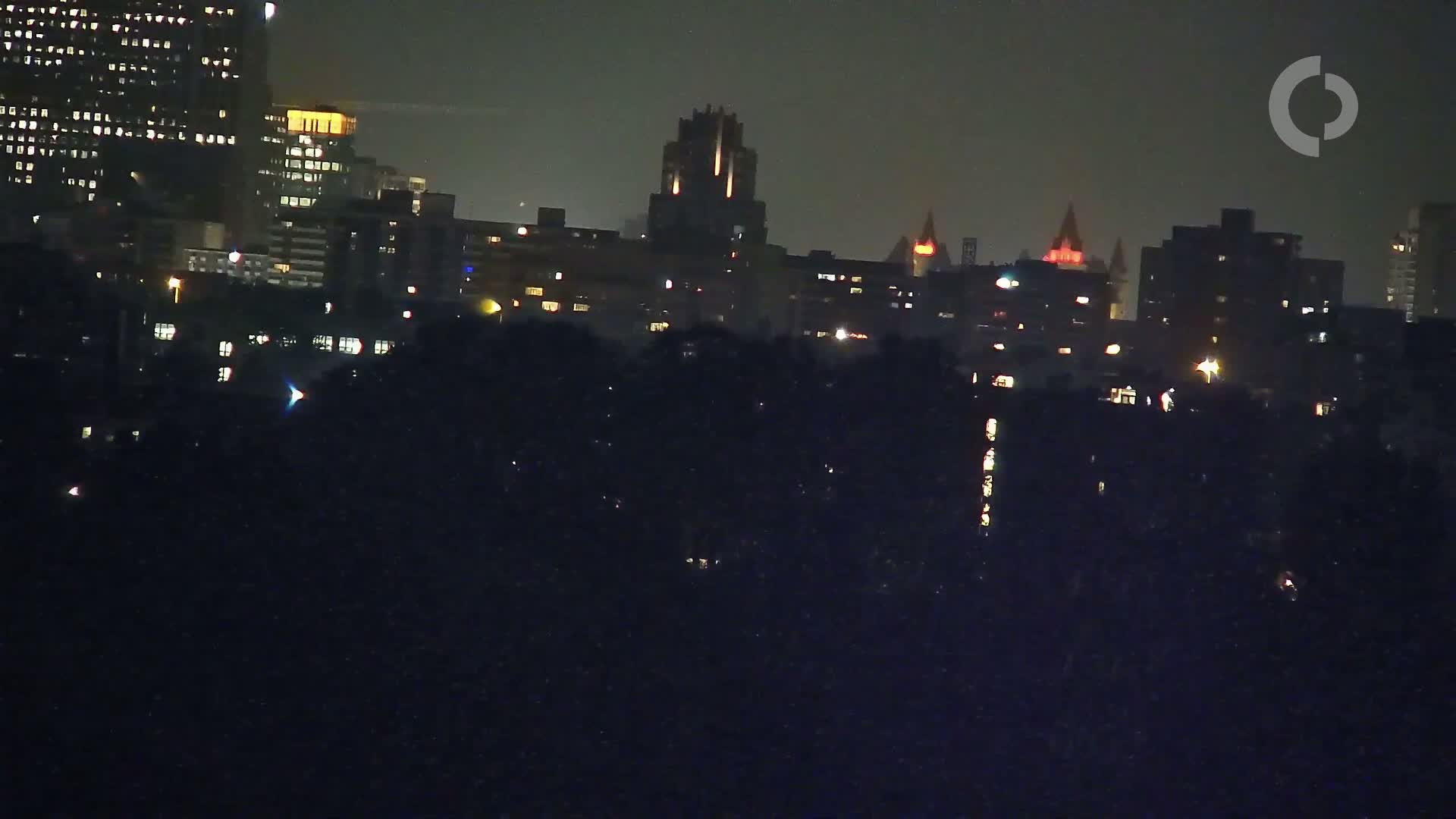 A nighttime cityscape with illuminated buildings and a dark foreground of trees or vegetation under a clear sky.