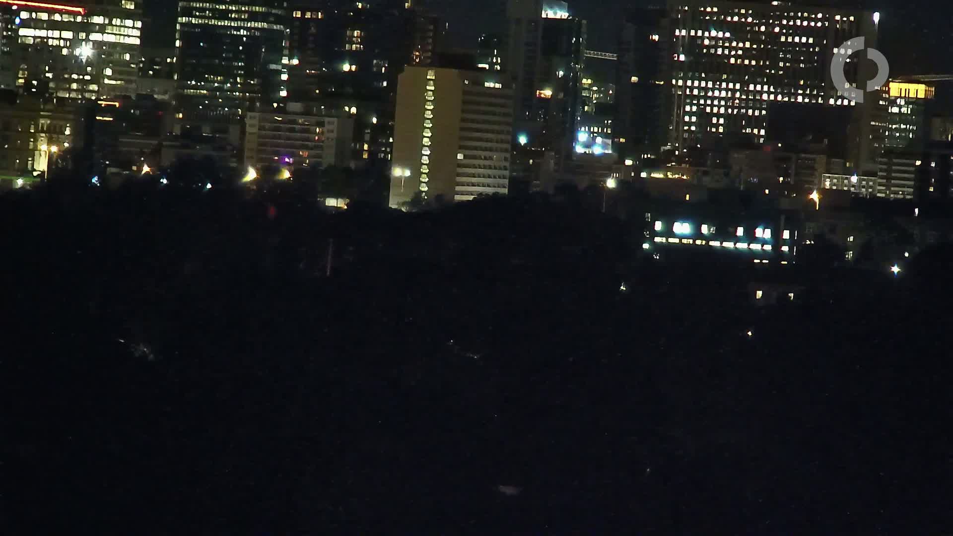 A nighttime cityscape with illuminated buildings and a dark foreground of trees or vegetation under a clear sky.
