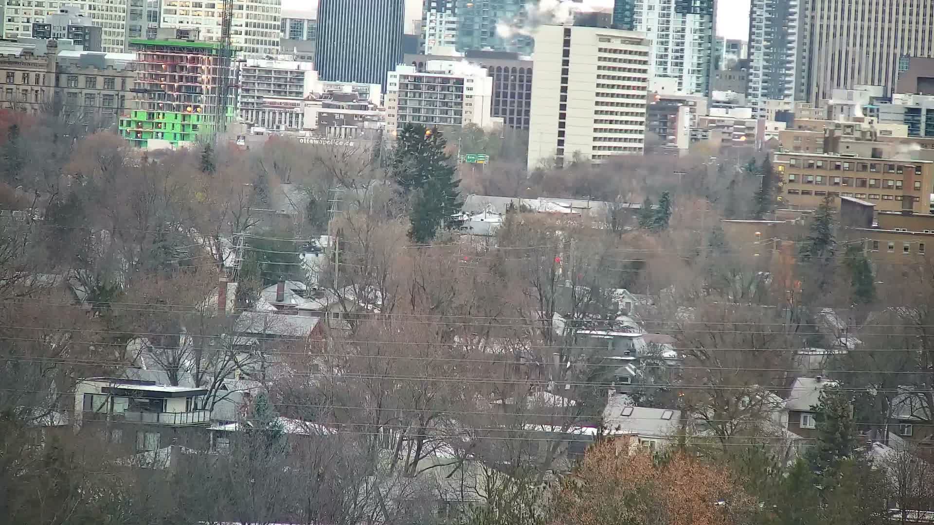 A nighttime cityscape with illuminated buildings and a dark foreground of trees or vegetation under a clear sky.