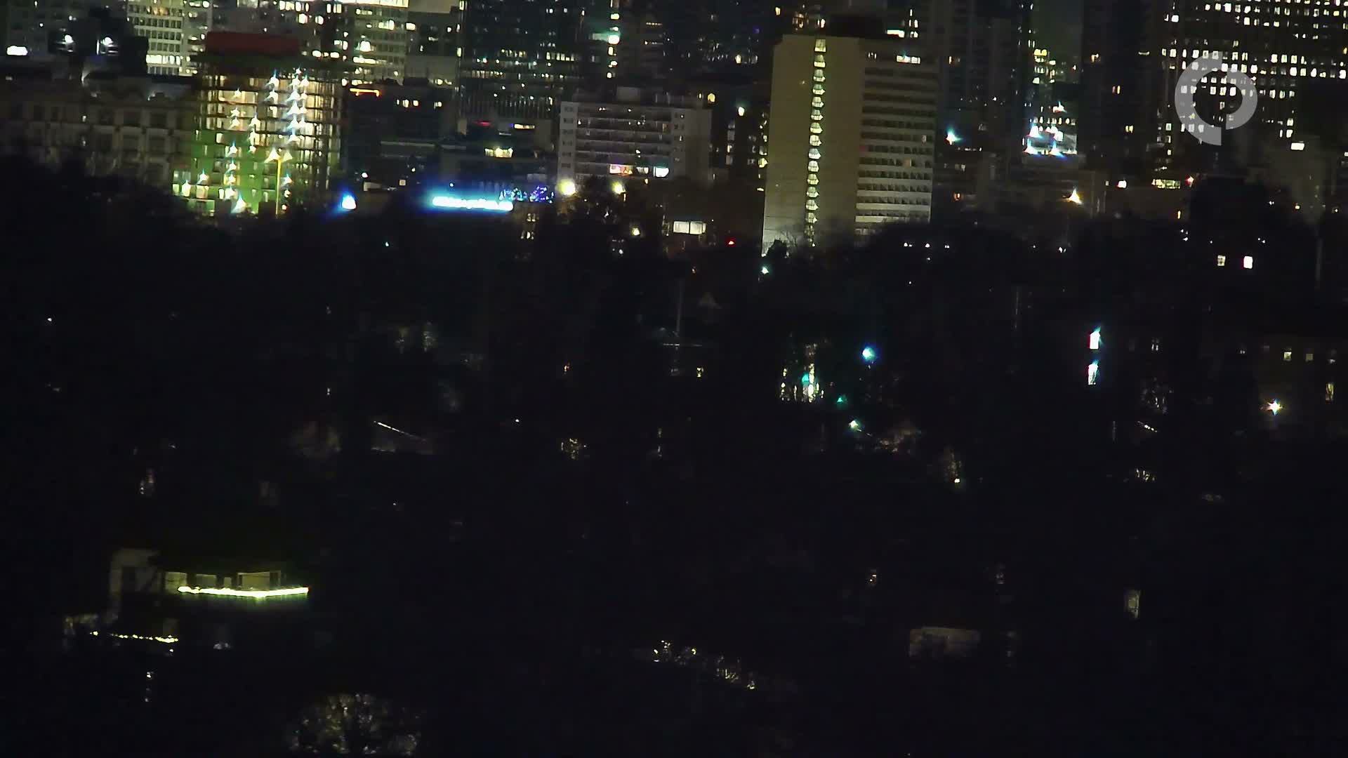 A nighttime cityscape reveals brightly lit buildings, one adorned with a large illuminated tree or festive light display, towering over a dark, tree-lined foreground with scattered lights under a clear sky.
