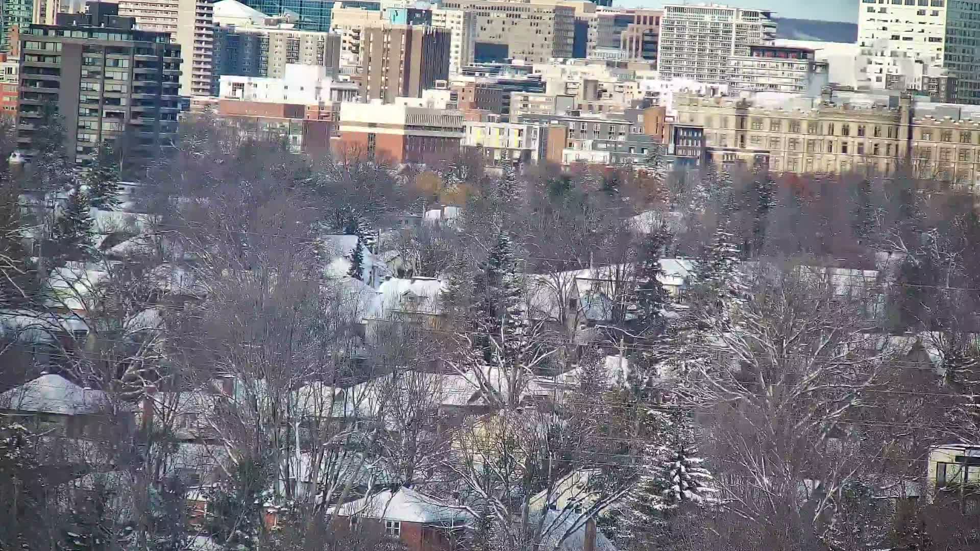 A nighttime cityscape is visible under an overcast sky, with numerous illuminated buildings towering above a dark foreground of trees.