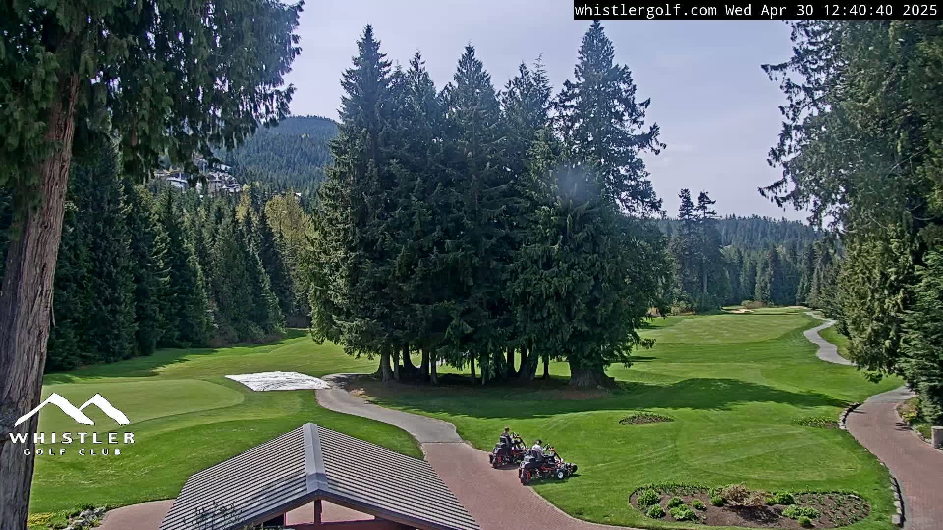 A sunny view of a golf course nestled among evergreen trees, with a couple of golf carts on a paved path.