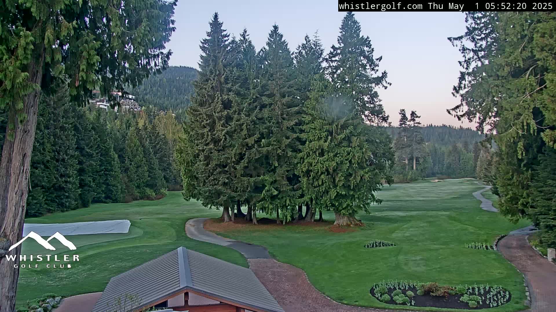 A golf course with a grassy green, a paved path, and several evergreen trees, under a clear, dawn sky.