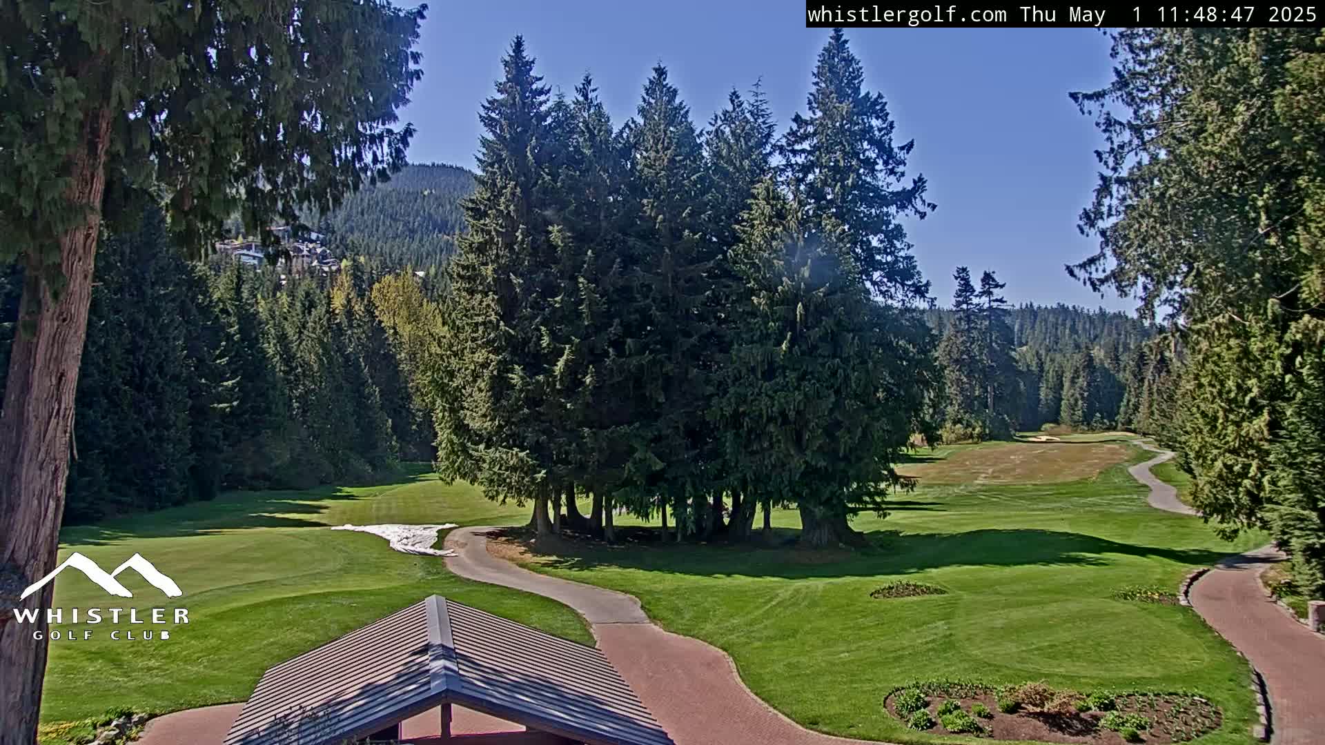 A sunny view of a golf course nestled among evergreen trees and mountains.
