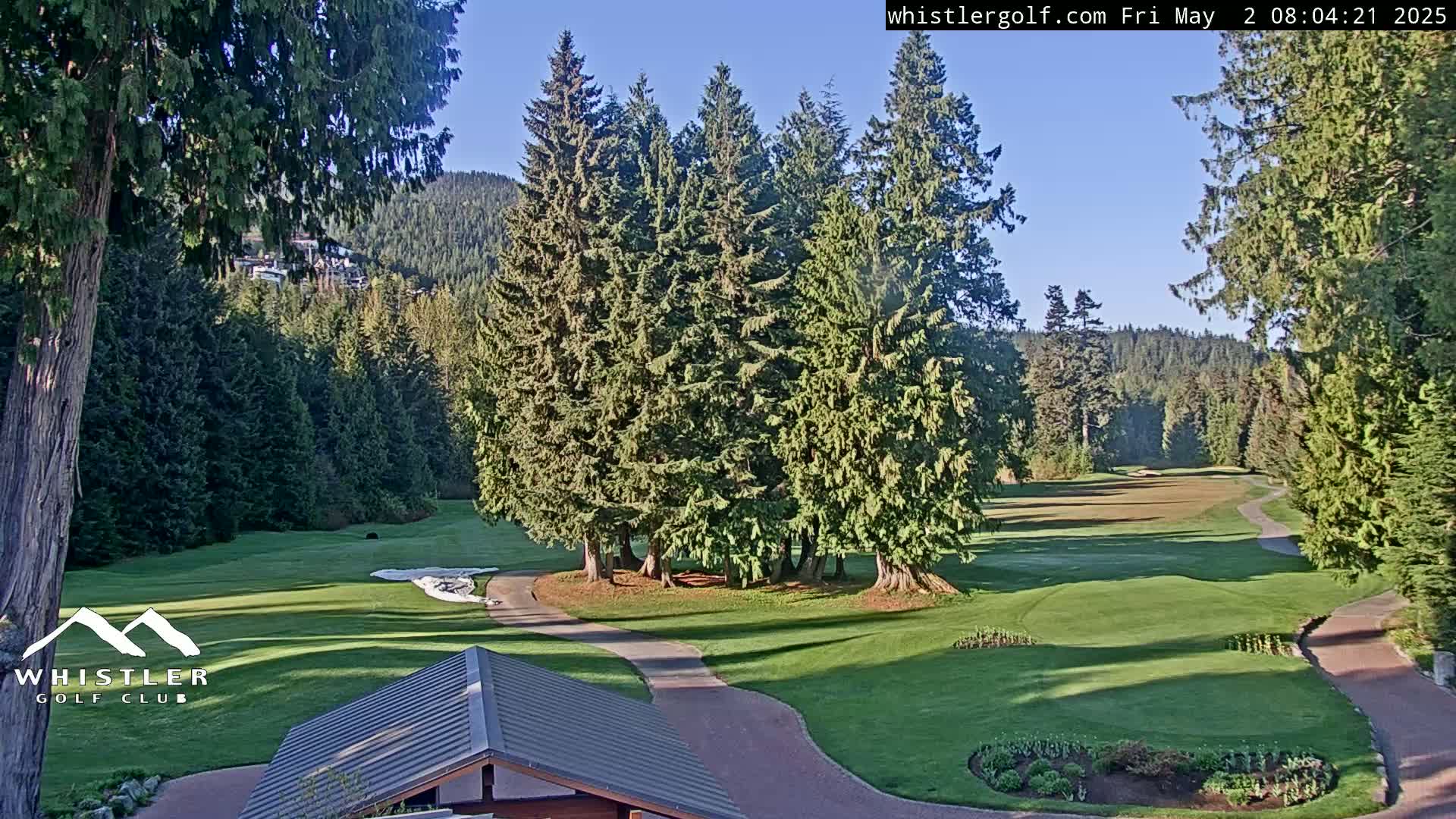 A sunny view of a golf course nestled among tall evergreen trees and mountains in the background.