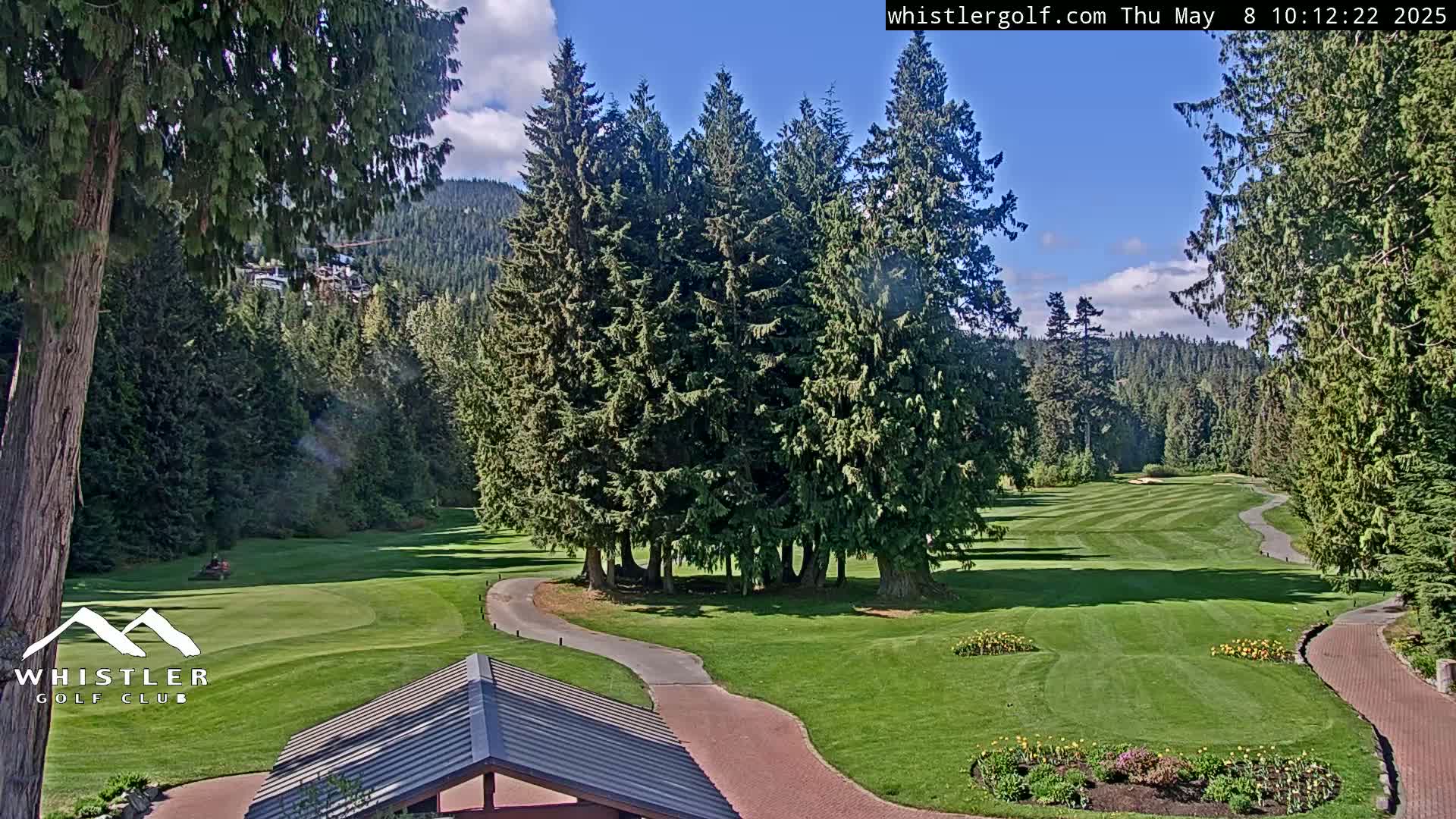 A sunny golf course nestled among tall evergreen trees and mountains in the background.