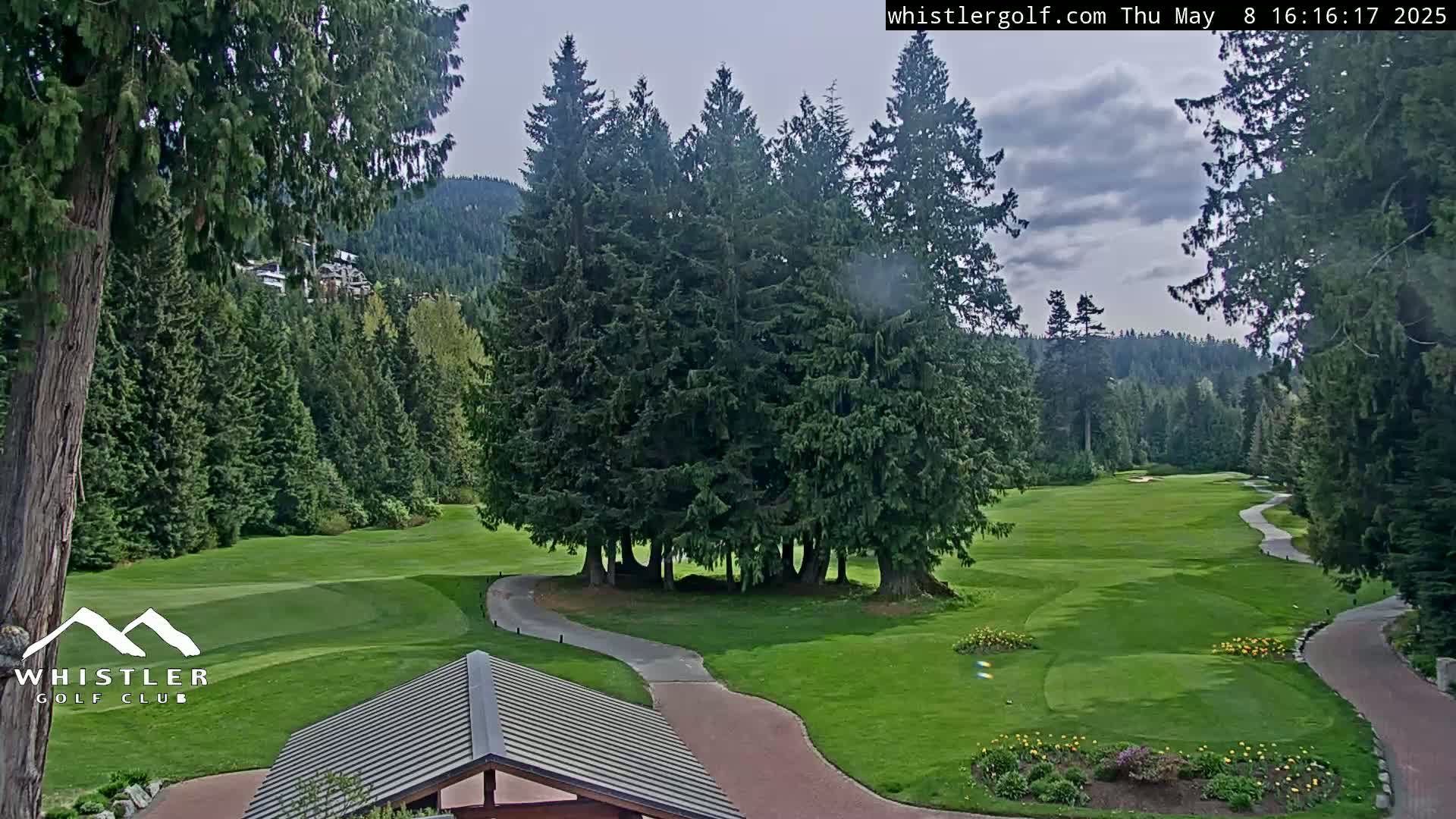 A golf course nestled among lush evergreens under a cloudy sky.