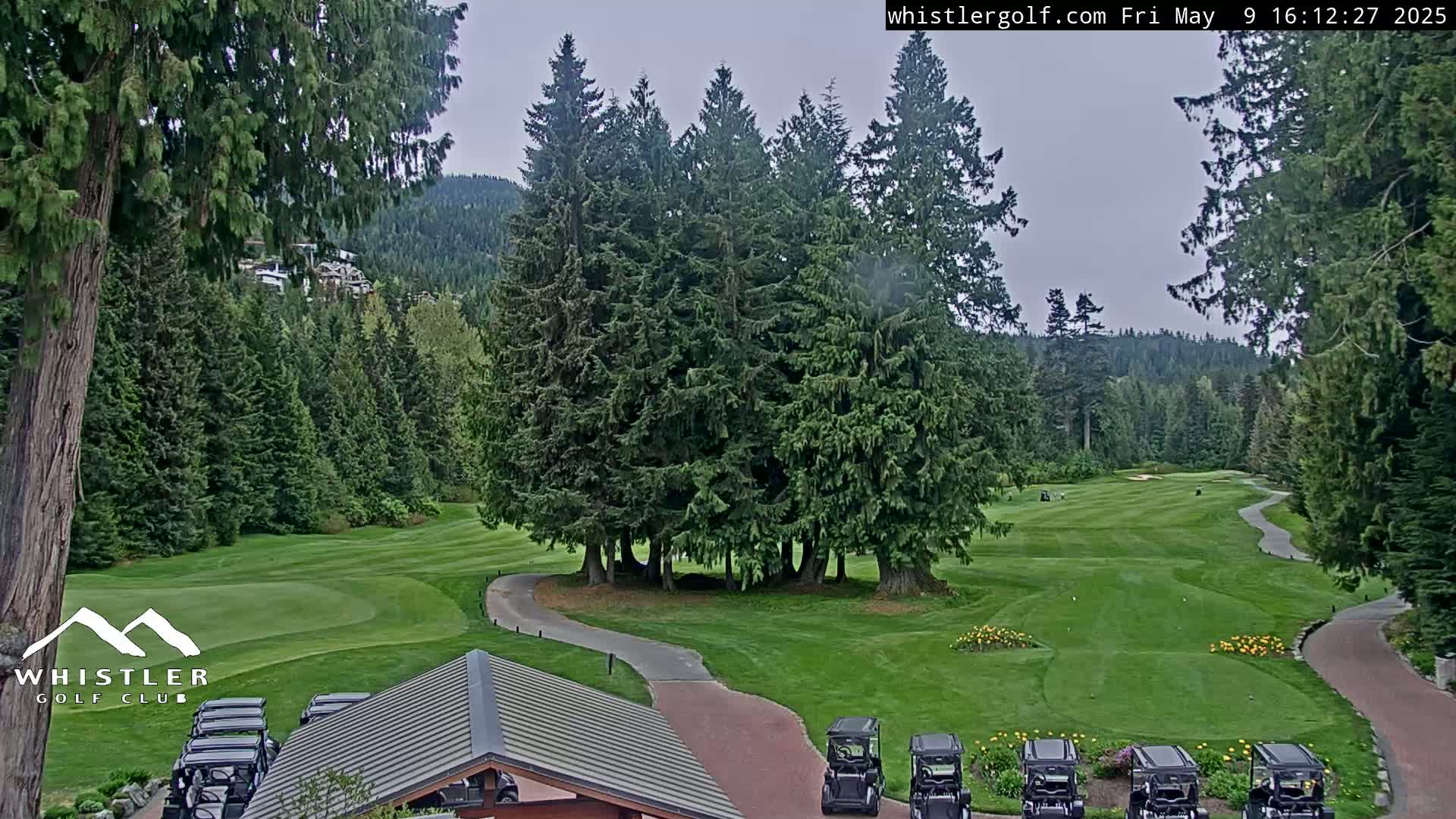 A golf course nestled in a lush forest under an overcast sky, with several golf carts parked near a clubhouse.