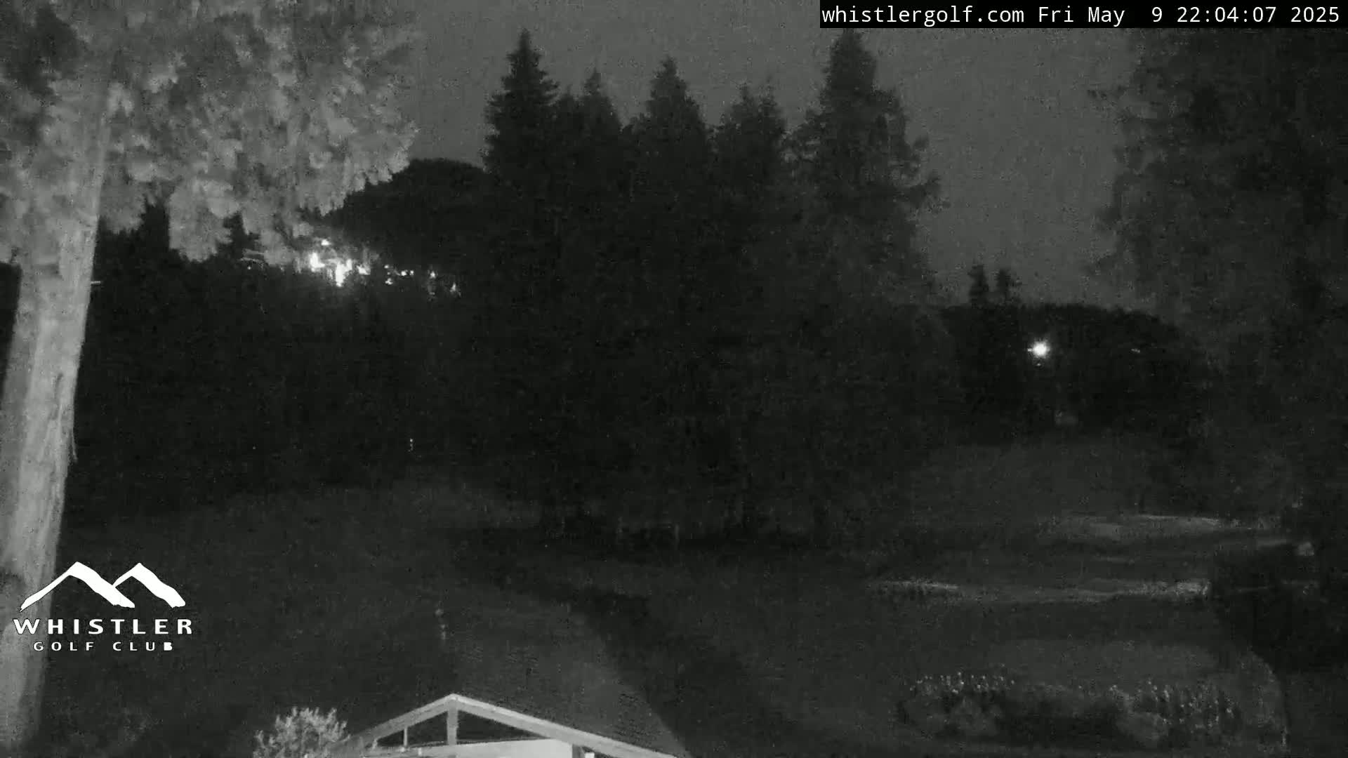 A nighttime, low-light view of a dark, wooded area with a glimpse of a building in the bottom right corner.