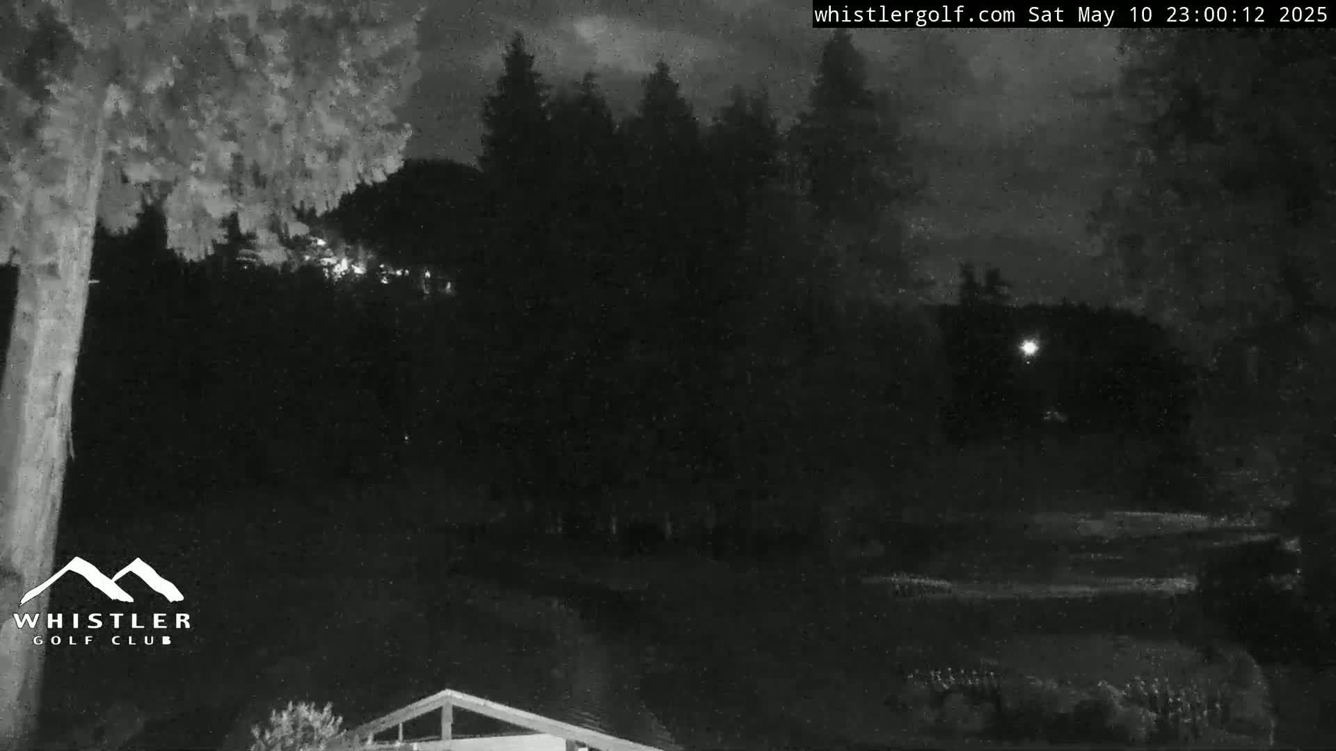 A nighttime, low-light view of a dark wooded area with a sliver of a building visible in the bottom right corner.