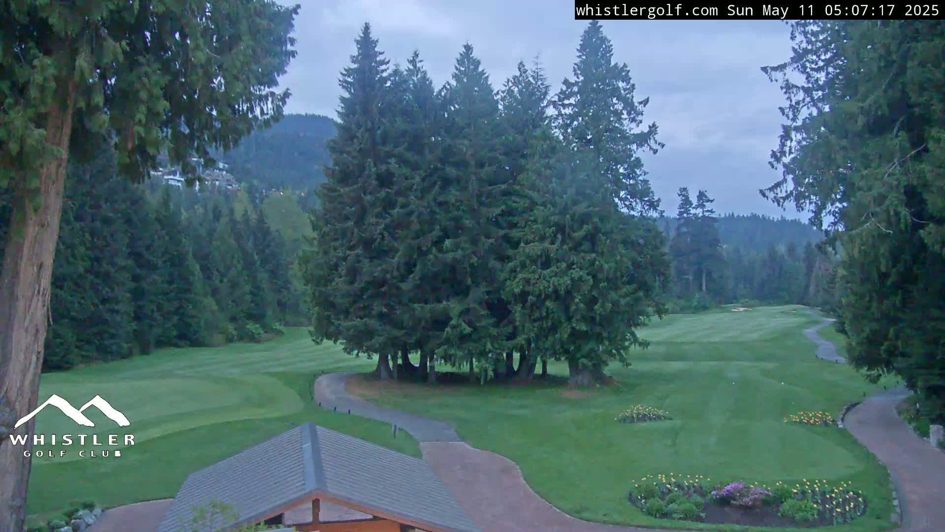 A golf course nestled among evergreen trees under an overcast sky.