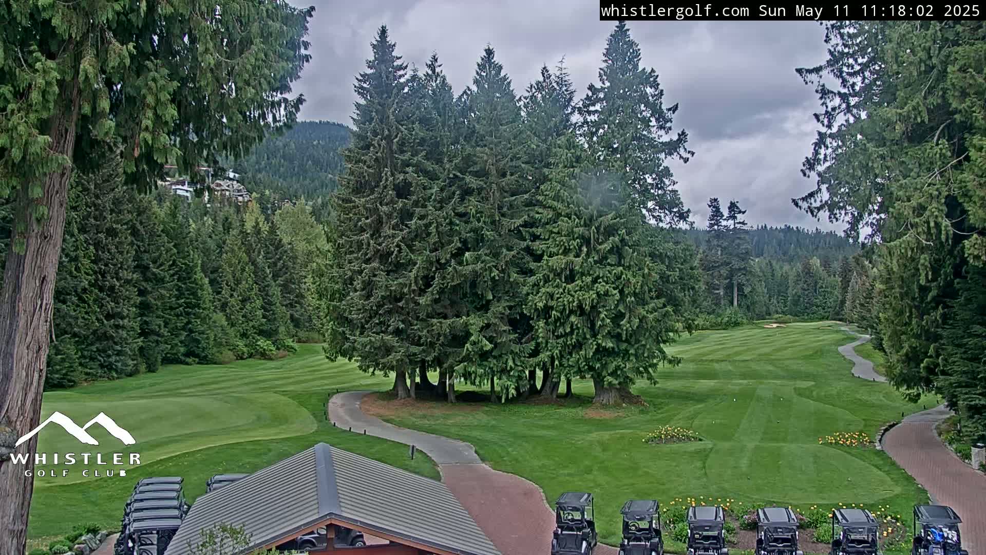 A golf course with a paved path winds through a lush green landscape dotted with evergreen trees under a cloudy sky.
