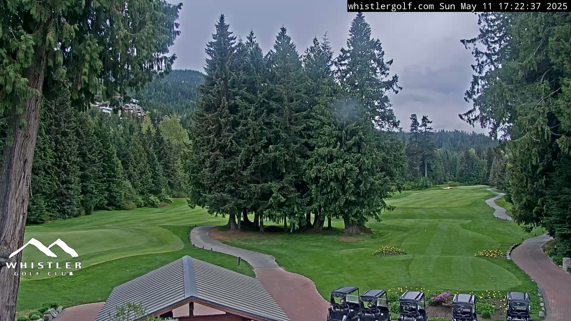 A golf course nestled in a forest of evergreen trees under an overcast sky.