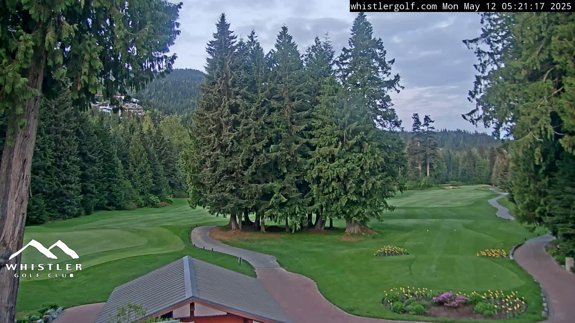 A golf course with a winding paved path nestled among tall evergreen trees under a cloudy sky.
