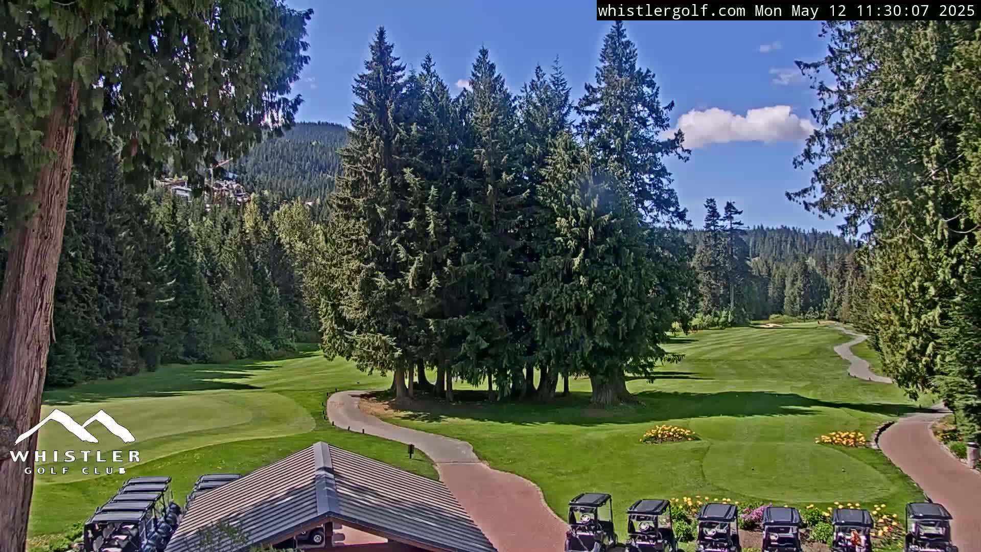 A sunny golf course with a paved path winds through a green lawn, surrounded by tall evergreen trees under a partly cloudy sky.