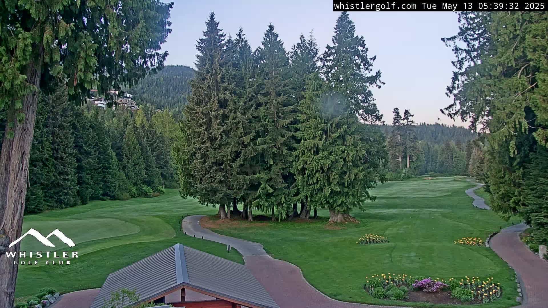A golf course nestled in a forest of evergreen trees under a clear, light-blue sky.