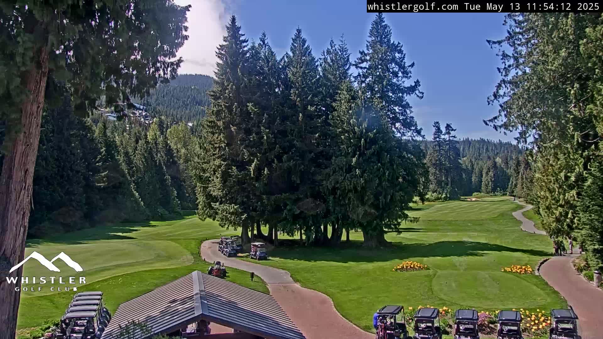 A sunny day reveals a golf course nestled among tall evergreen trees, with golf carts parked along a paved path.