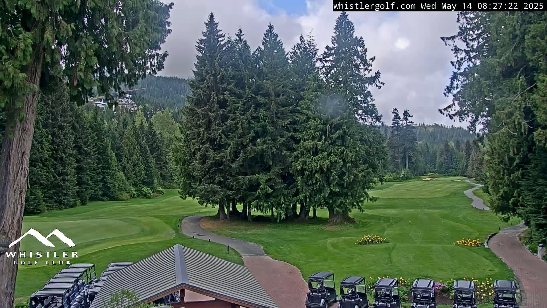 A golf course with green fairways and numerous evergreen trees under a partly cloudy sky.