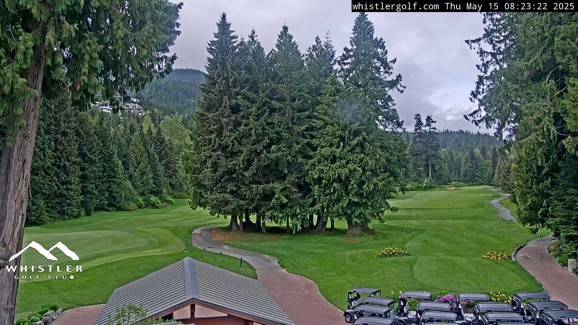 A golf course nestled among evergreen trees under an overcast sky.