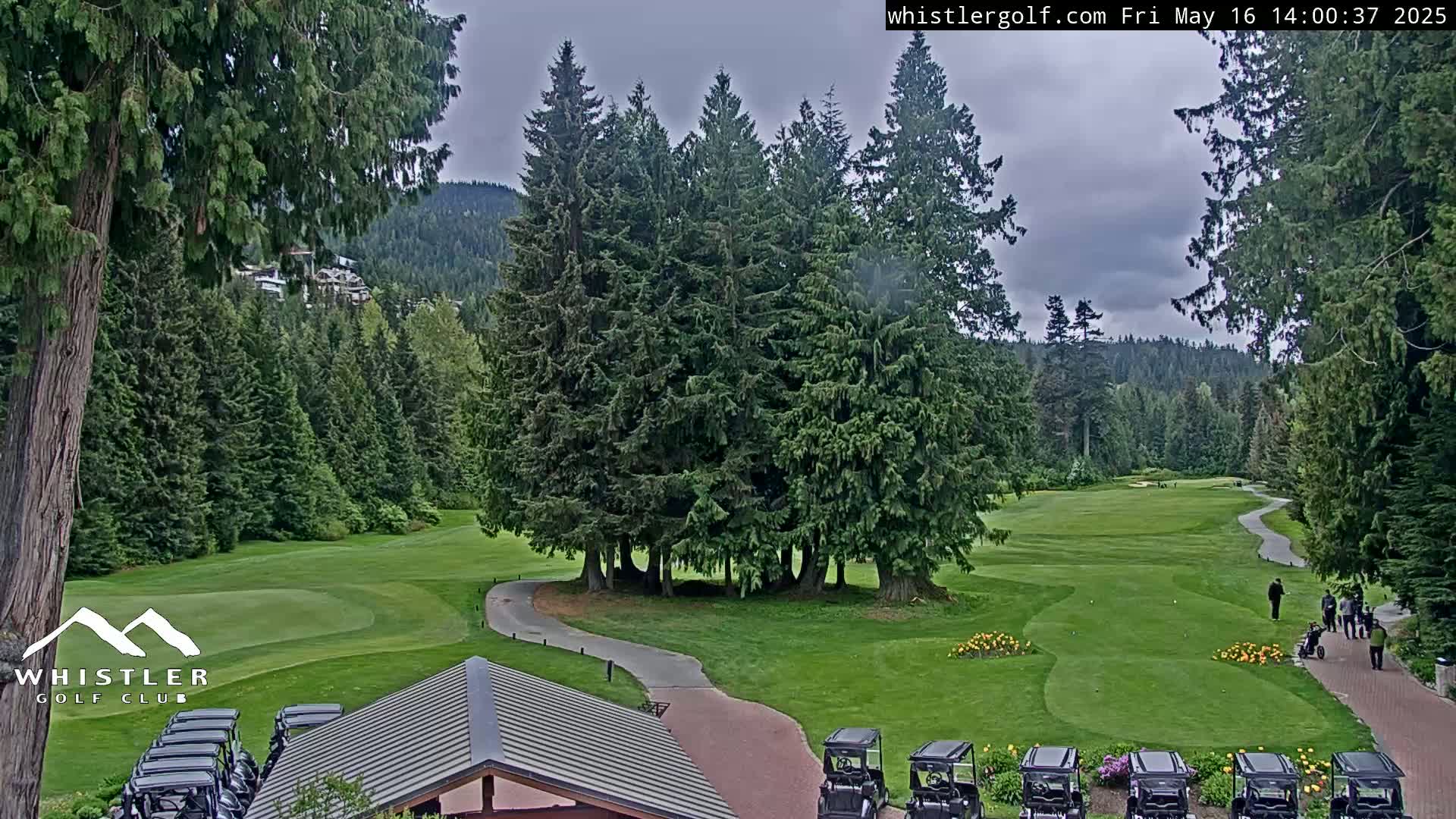 A golf course with green fairways, winding paths, and several golf carts is nestled among tall evergreen trees under a cloudy sky.