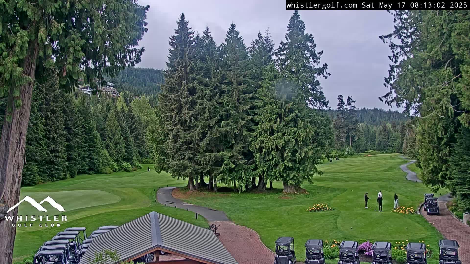 A golf course with several golf carts parked near a clubhouse, surrounded by lush green trees under an overcast sky.