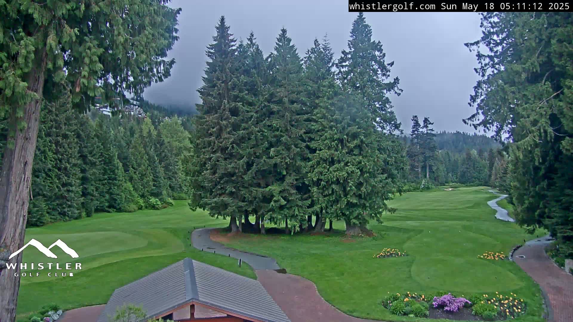 A golf course nestled among evergreen trees on an overcast day.