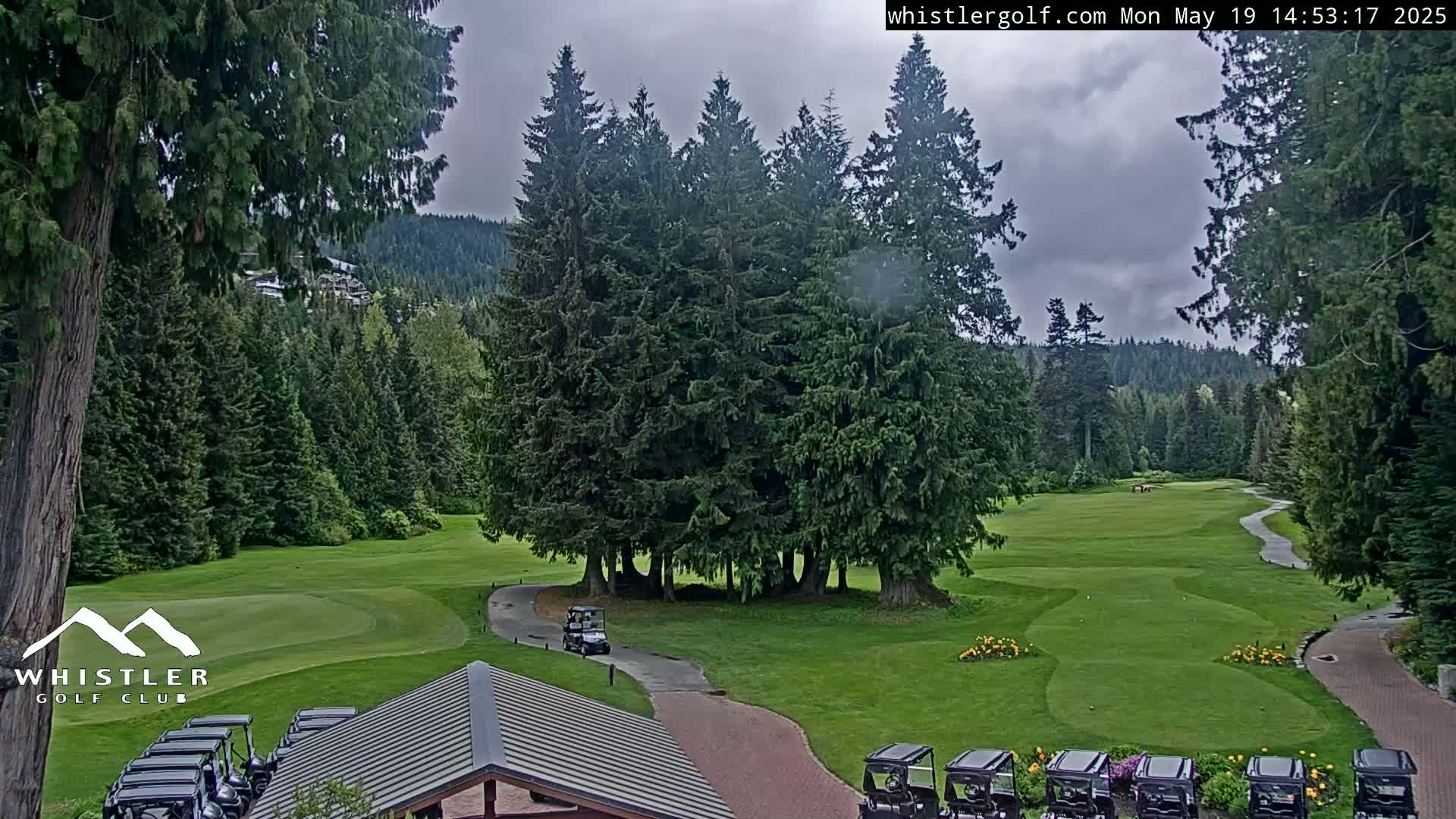A golf course nestled among tall evergreen trees under an overcast sky, with several golf carts parked near a building.