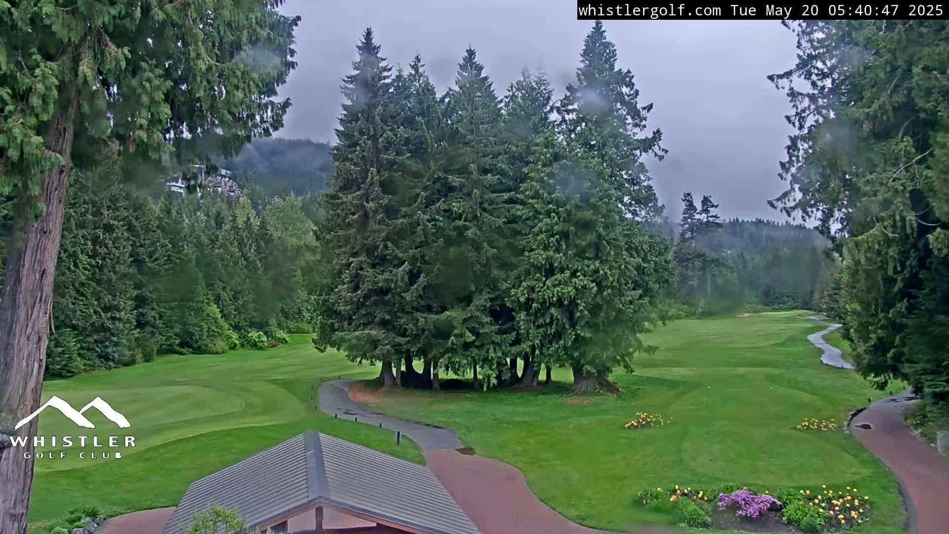 A golf course nestled in a lush forest under an overcast sky.