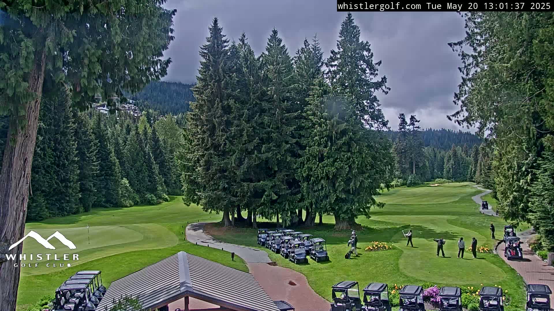 Whistler Golf Club 1st Hole Area Live Cam - Whistler,  Squamish-Lillooet, Sea to Sky Country, British Columbia, Canada