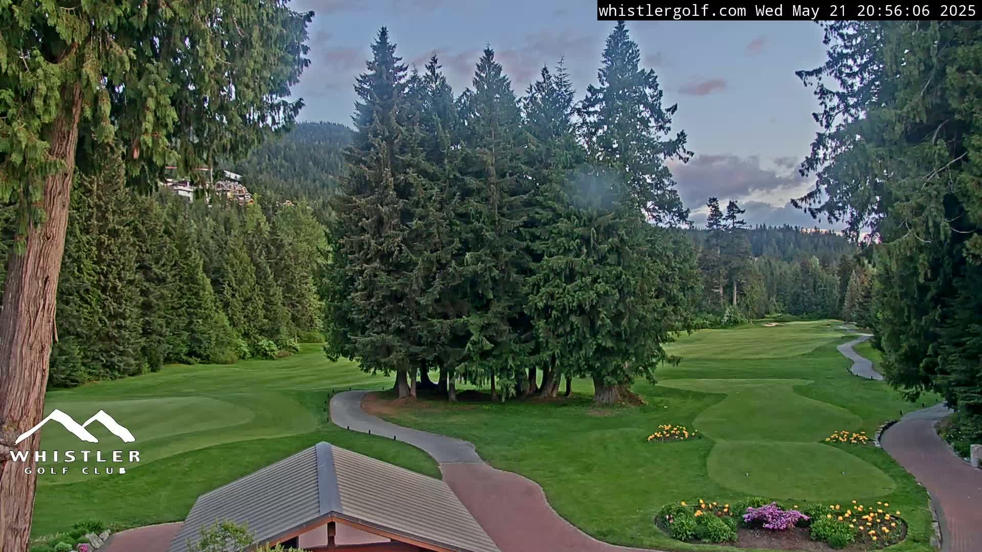 A golf course nestled among evergreen trees under a partly cloudy evening sky.