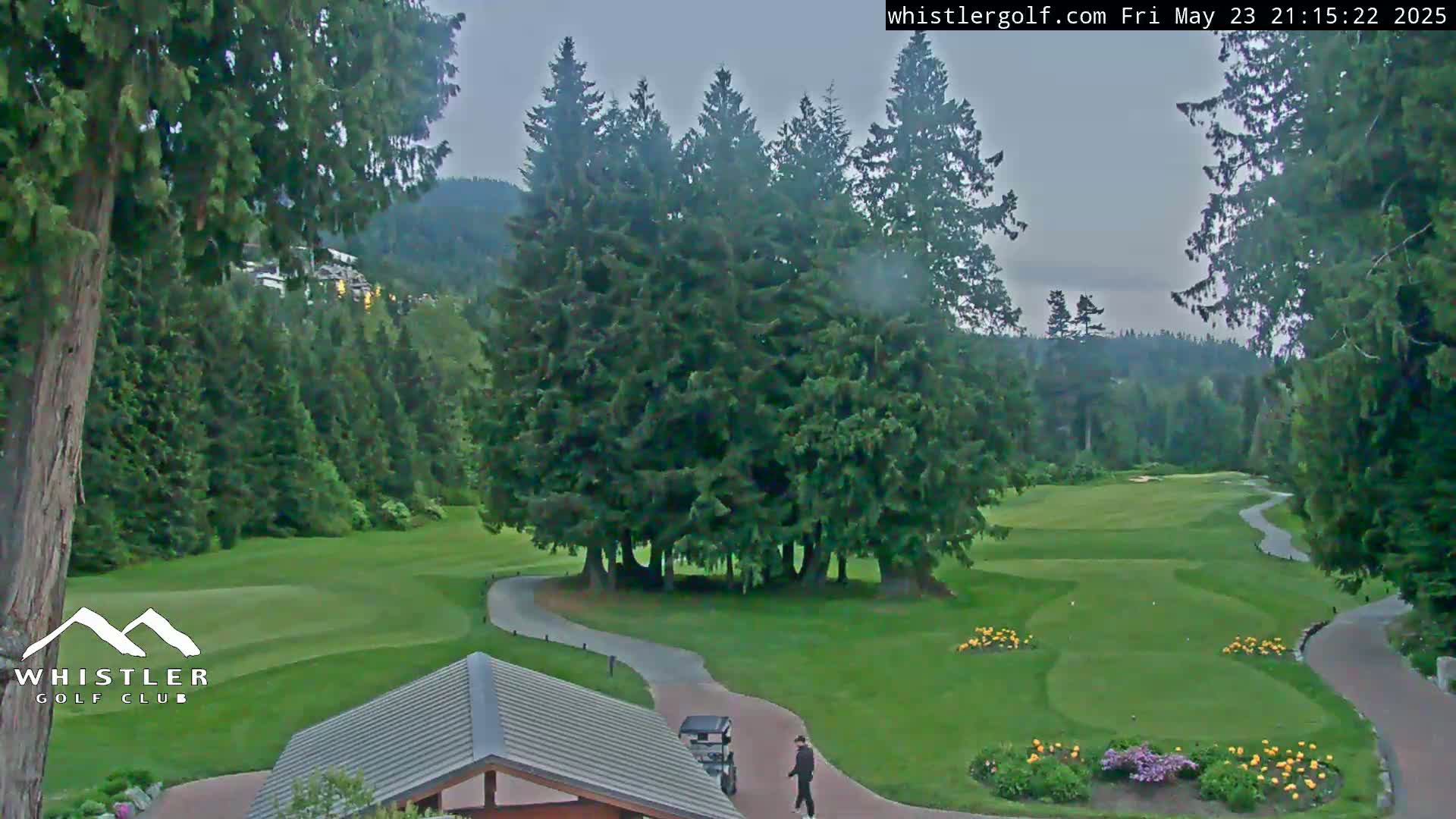 Whistler Golf Club 1st Hole Area Live Cam - Whistler,  Squamish-Lillooet, Sea to Sky Country, British Columbia, Canada